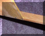 legbrace.jpg (31492 bytes)